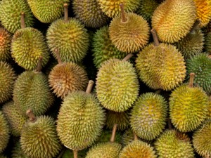 90581471-pile-of-smelly-durian-fruit-gettyimages