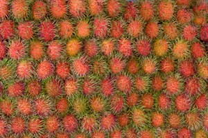 92783643-rambutan-fruit-related-to-lychee-gettyimages